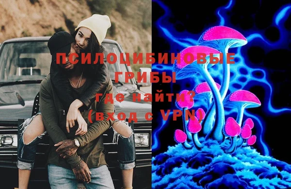 твердый Абаза