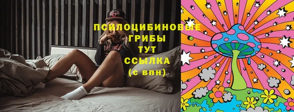 твердый Абаза