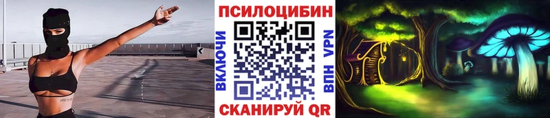 где купить   Щучье  Псилоцибиновые грибы мицелий 